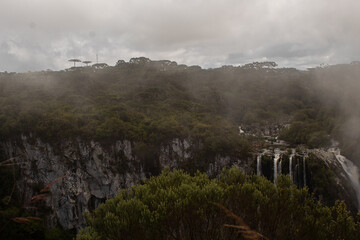 Foggy Landscape on the top of the mountain