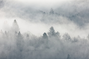 Obraz na płótnie Canvas Brouillard et lever du soleil sur les Vosges
