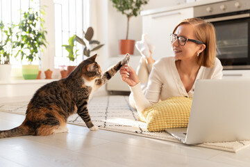 Smiling woman freelancer lying on the carpet in living room, plays with cat a toy mouse at home....