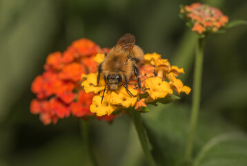 Waiting for Spring...