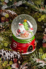 A cute Christmas toy, a snow globe with Santa Claus, a snowman and a Christmas tree inside. Christmas gift idea