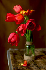 Against a close background, red tulips in a vase. Valentine's Day.