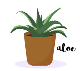 aloe house plant in the flower pot vector illustration  isolated on white background with a name text "aloe". clip art element for interior design, gardening hobby, stay at home concept, flower shop
