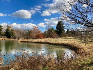 idyllic tranquil lake in autumn