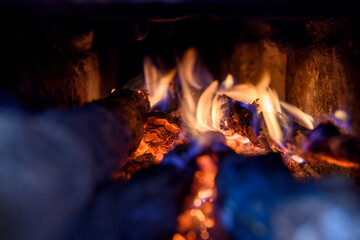 campfire, wood fire