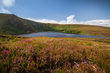 Lough Bray, Wicklow, Ireland
