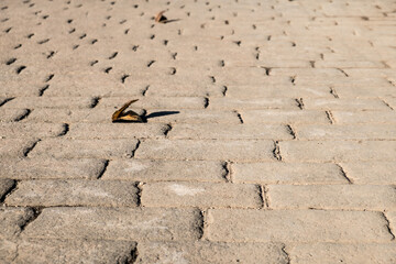 Fototapeta premium stamped concrete pavement, slate stone tile on cement stones pattern, exterior decorative flooring printed paving