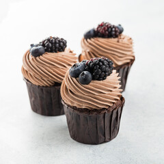 Berry chocolate cupcakes on white background