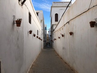 Fototapeta na wymiar old alley with vases in Rabat, Morocco