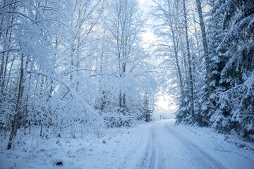 A beautiful winter day landscape of a gravel road near the forest. Snow covered scenery of Northern Europe.