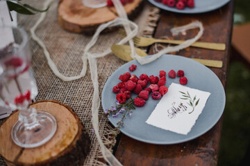 Beautiful young couple. Wedding photo session outdoors in the mountains. Happy couple. New family.