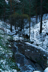 krajobraz góry drzewa natura śnieg las 