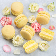 Feminine composition with traditional french macarons sweets and roses on light concrete background. Top view, close up.