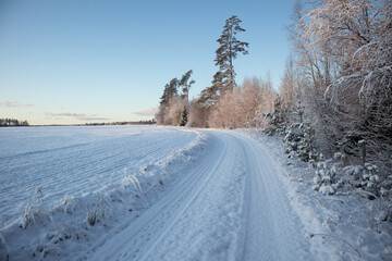 A beautiful winter day landscape of a gravel road near the forest. Snow covered scenery of Northern Europe.