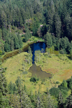 Ellbachsee