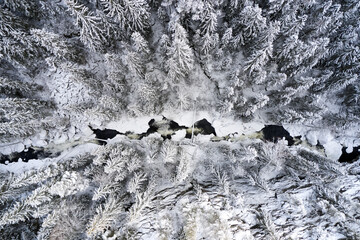 Flying over winter wonderland with frozen creeks and snow clothed trees. Shot with a drone in Hallingdal, Gol.  © SteinOve