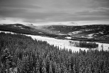 Flying over winter wonderland with frozen creeks and snow clothed trees. Shot with a drone in...