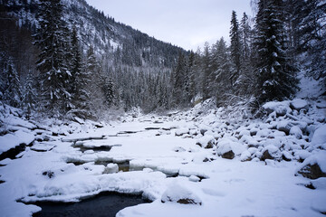 Flying over winter wonderland with frozen creeks and snow clothed trees. Shot with a drone in Hallingdal, Gol. 