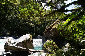 Fototapeta premium By the road to Milford Sound