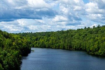 River bends through lush evergreen forest