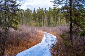 Fototapeta na wymiar Snowy boardwalk approaches clearing in forest