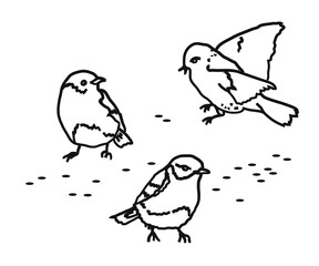 A flock of birds on a white background. Sketch. Vector illustration.