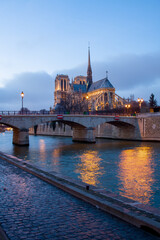 Fototapeta na wymiar landscape with notre dame de paris and Seine river