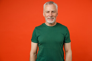Smiling cheerful handsome attractive elderly gray-haired mustache bearded man wearing basic green...