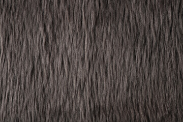 Gray fur texture and background
