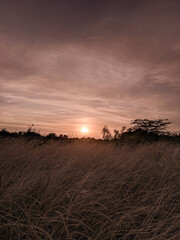 sunset in the desert