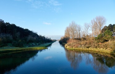 Landscape in the Amsterdamse waterleidingduinen, the Netherlands zandvoort