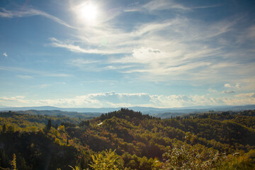 Naklejka premium landscape with clouds and forest