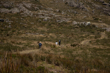man walking in the field
