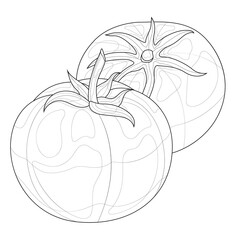Tomatoes vegetables.Coloring book antistress for children and adults. Zen-tangle style.Black and white drawing