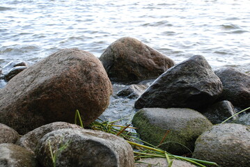 Large rocks in the coastal water.
Summer. On the shore of the Gulf of Finland there are large stones - boulders. Between the stones, water and green cane stalks. Some of the stones are wet from the wa