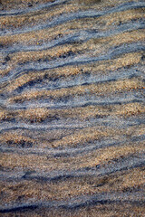 texture of the sand