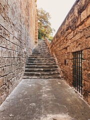 Obraz premium Secret way