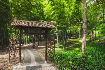 Fototapeta na wymiar Path leading to bamboo forest on Tiger Hill (Hu Qiu) in Suzhou, Jiangsu, China