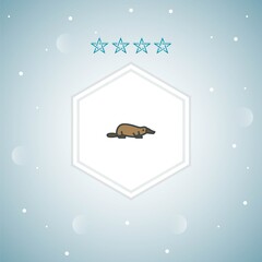 platypus vector icons moderns