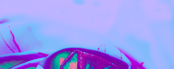 Green Popular Poster. Violet Cotton Design. Sea Beauty Decor. Bright Textured Illustration. Pink Watercolor Design. Ocean Silky Texture. Exotic Image. Abstract Wallpaper.