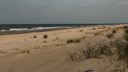 Baltic Sea beach