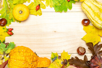 Maple leaf autumn. Natural harvest with orange pumpkin, fall dried leaves, red berries and acorns, chestnuts on wooden background in shape frame. Beauty Holiday autumn festival concept. Fall scene.