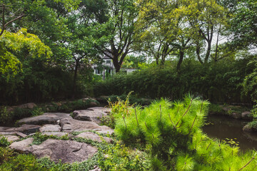 Rocks by creek between trees on Tiger Hill (Huqiu), Suzhou, Jiangsu, China