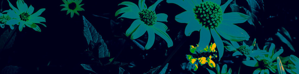 Fototapeta na wymiar Yellow Flora Decoration. Blue Forest Splash.