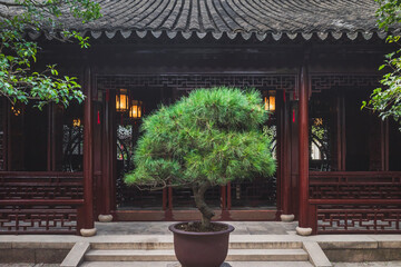 Fototapeta na wymiar Plant in front of traditionnal Chinese house at Lingering Garden Scenic Area, Suzhou, Jiangsu, China