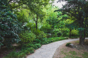 Fototapeta na wymiar Path between trees at Lingering Garden Scenic Area, Suzhou, Jiangsu, China