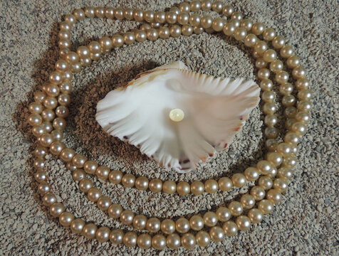 white pearl in an open white shell on the gray sand, surrounded by a pearl necklace