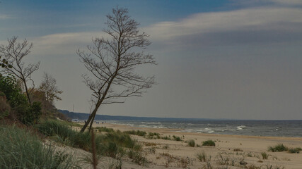 Fototapeta na wymiar Baltic Sea beach