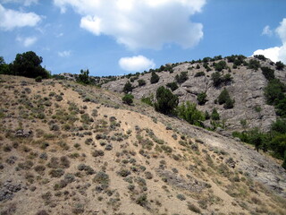Fototapeta premium The slopes of stony mountains with sparse shrubs are dark green.