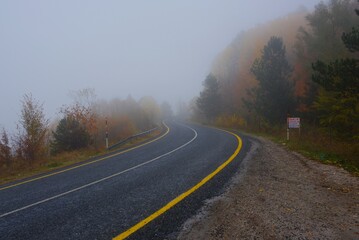 road in autumn